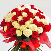 Buchet 101 trandafiri rosii si albi 3
